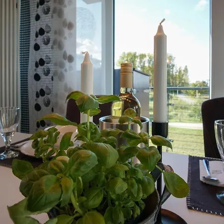 公寓 Duenenpark-heiligenhafen-haus-duenenblick-wohnung-2-duenenidyll *